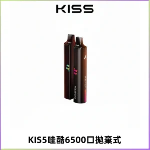 KIS5WAGOO哇酷6500口拋棄式 | 自由混搭雙口味 | 雙芯組合