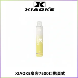 XIAOKE梟客7500Puffs跑馬燈拋棄式電子煙 可發光一次性